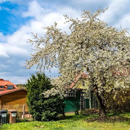 Gemütliches, heimeliges Ferienhaus Gars am Kamp Exterior foto