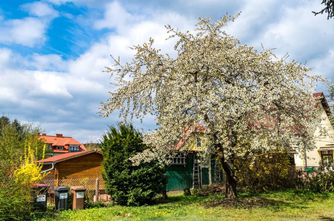 Gemütliches, Heimeliges Ferienhaus